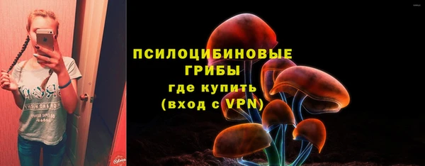 a pvp Абаза