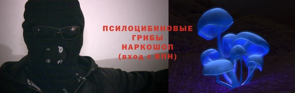 a pvp Абаза