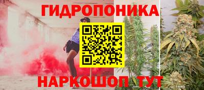 сатива Краснознаменск