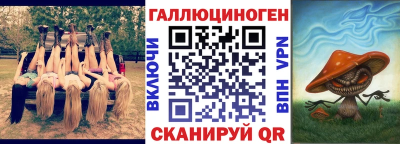 Галлюциногенные грибы Psilocybine cubensis Звенигород