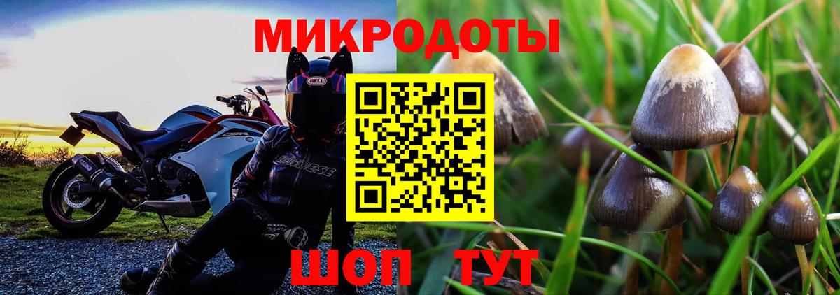 Звенигород  Псилоцибиновые грибы ЛСД  Вход с VPN 