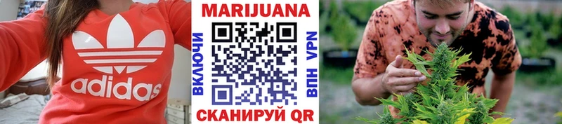 Бошки Шишки планчик Звенигород